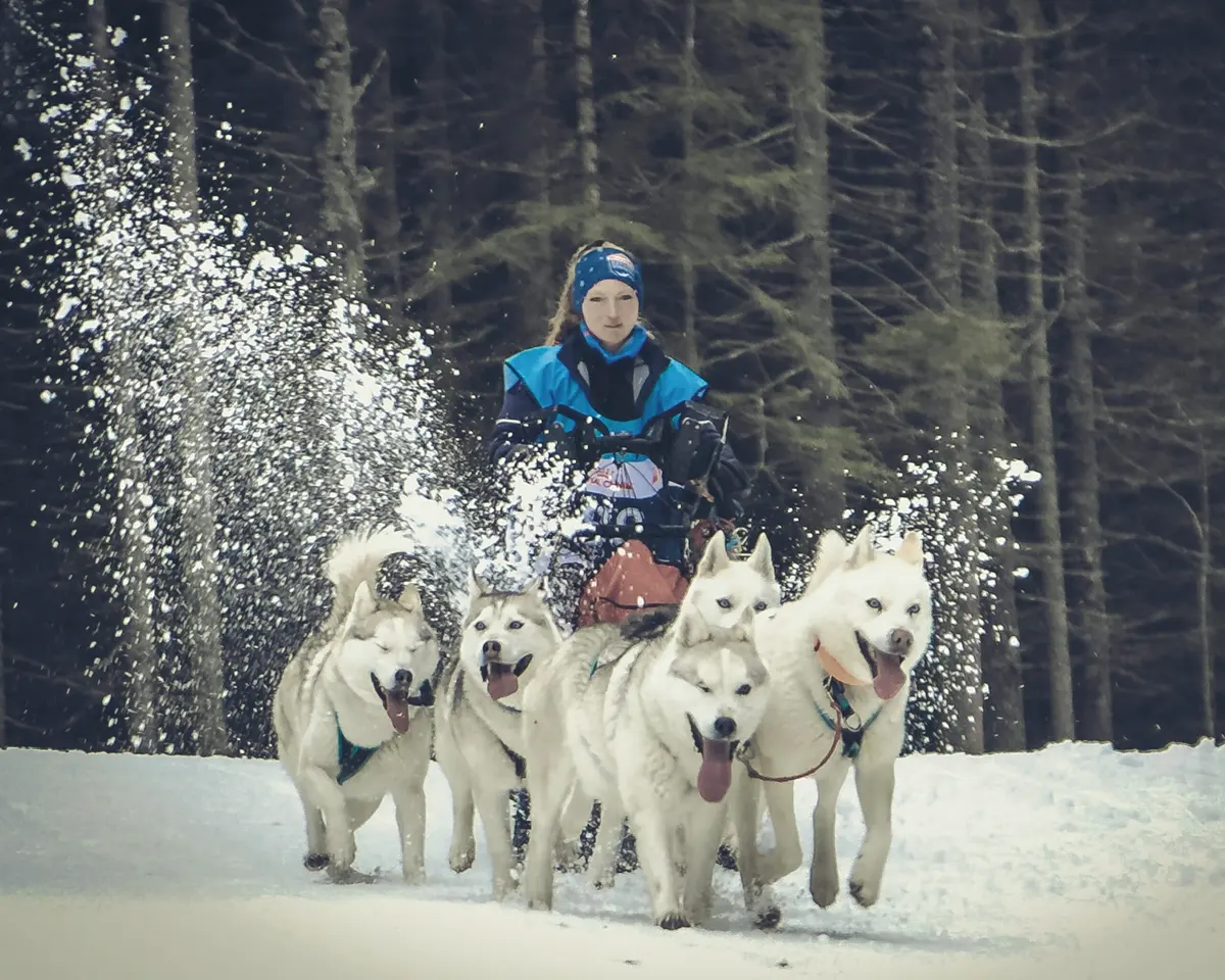 La Conta Musher Race